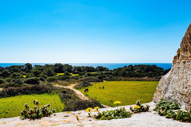 Vista panorâmica da paisagem contra um céu azul claro