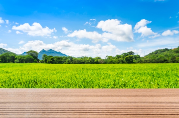 Vista panorâmica da paisagem do céu azul do agente de campo de grama verde no interior da Tailândia