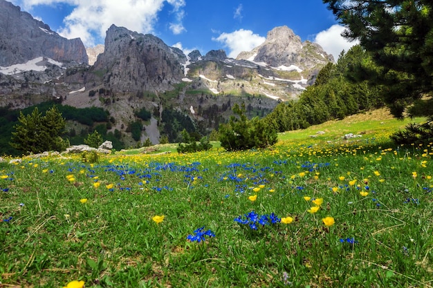 Vista panorâmica da paisagem no desfiladeiro na montanha albanesa