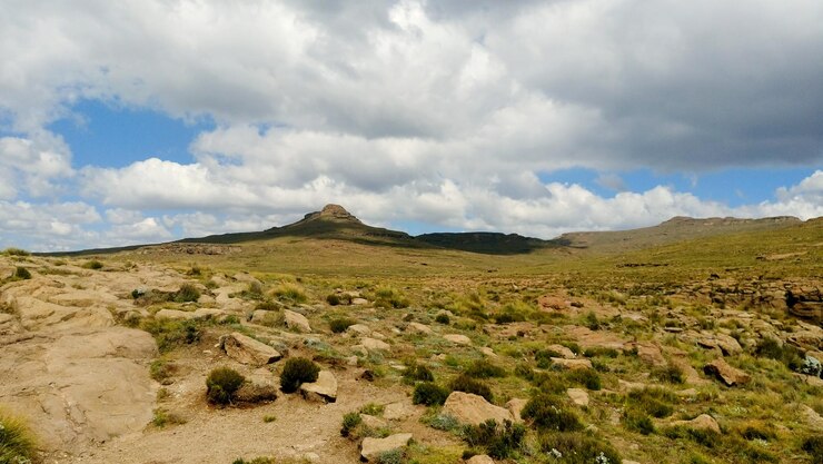 Foto vista panorâmica da paisagem verde contra o céu nublado