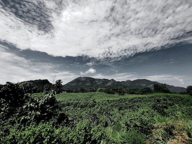 Foto vista panorâmica da paisagem