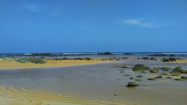 Foto vista panorâmica da praia contra o céu azul claro