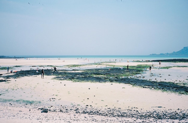 Foto vista panorâmica da praia contra o céu claro