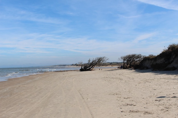 Foto vista panorâmica da praia contra o céu