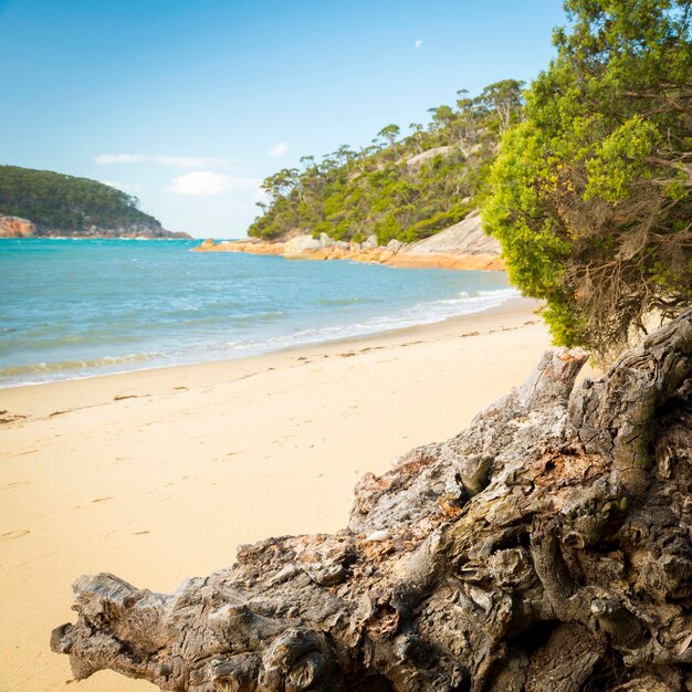 Foto vista panorâmica da praia contra o céu