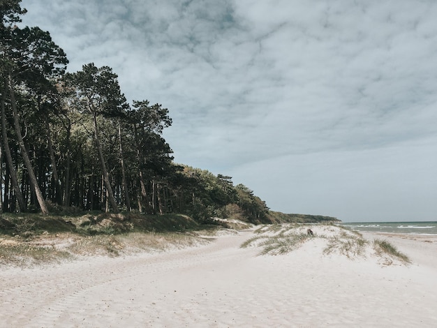 Foto vista panorâmica da praia contra o céu