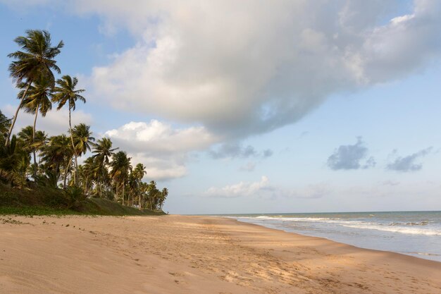 Foto vista panorâmica da praia contra o céu