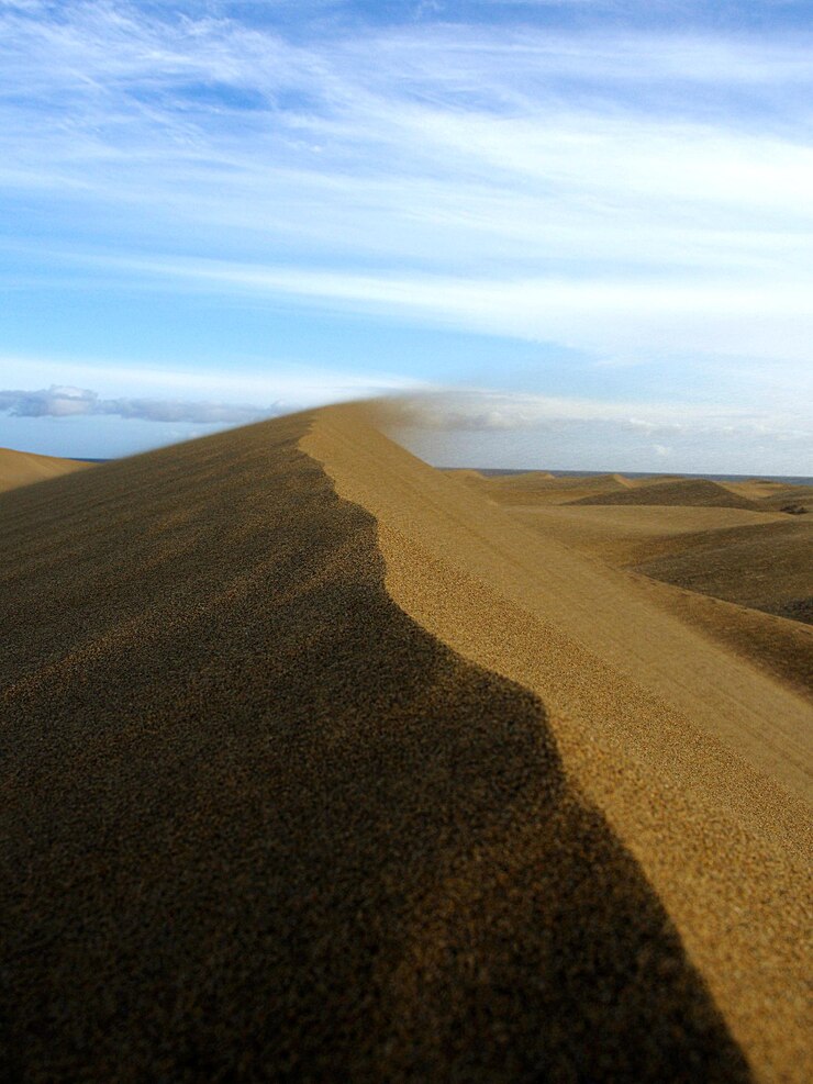 Foto vista panorâmica da praia contra o céu