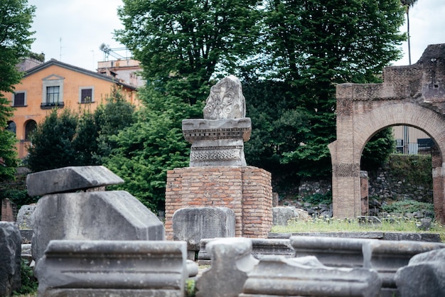 Vista panorâmica da rua movimentada com árvores verdes e ruínas antigas no antigo centro de roma