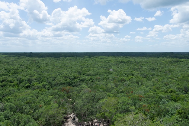 Vista panorâmica da selva do méxico