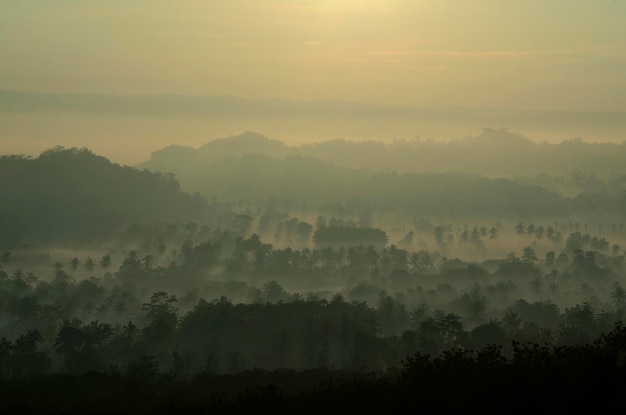 Vista panorâmica da silhueta da floresta contra o céu nublado ao nascer do sol