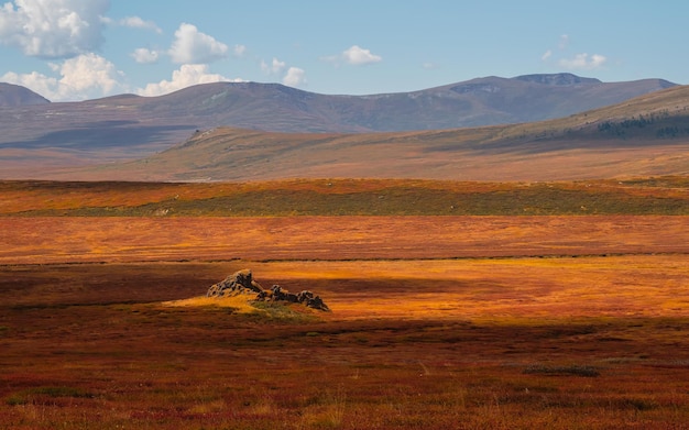 Vista panorâmica da sombra da paisagem montanhosa colorida ensolarada com uma pradaria na luz do sol dourada no outono em cores pastel planalto da montanha com uma bétula anã da cor vermelha da montanha iluminada pelo sol