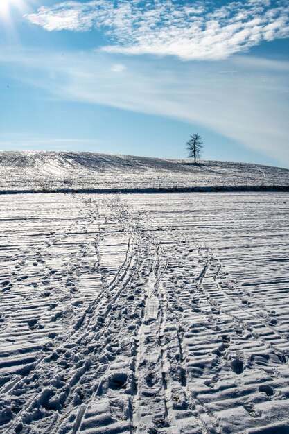 Foto vista panorâmica da terra contra o céu durante o inverno