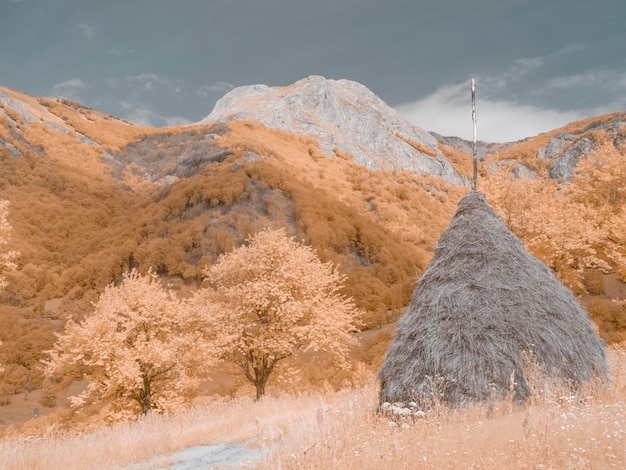 Foto vista panorâmica da terra em infravermelho contra o céu