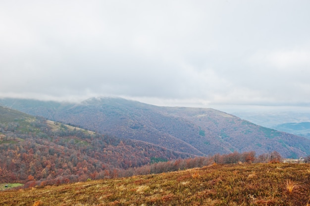 Vista panorâmica das florestas vermelhas e alaranjadas do outono da montanha que cobrem pela névoa em montanhas Carpathian em Ucrânia, Europa.