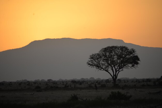 Foto vista panorâmica das montanhas ao pôr-do-sol