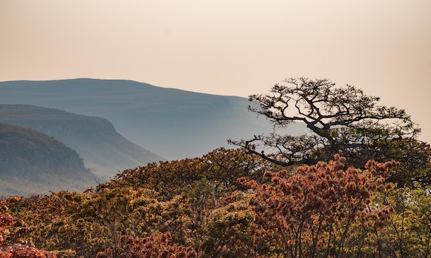 Foto vista panorâmica das montanhas contra o céu claro