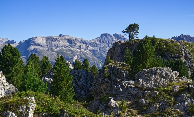 Vista panorâmica das montanhas contra o céu claro