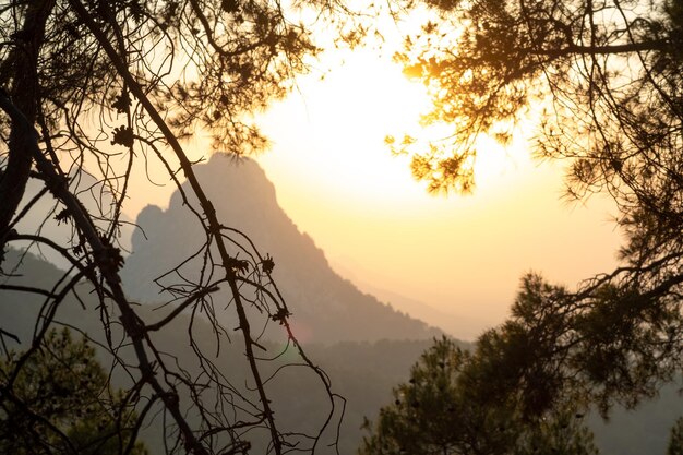 Foto vista panorâmica das montanhas contra o céu durante o pôr do sol através das árvores