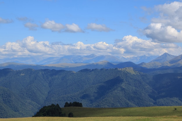 Vista panorâmica das montanhas e cenas do vale no Parque Nacional de Dombay, Cáucaso, Rússia, Europa. Céu azul dramático e paisagem ensolarada de verão