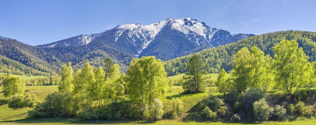 Vista panorâmica das montanhas em um dia de primavera, florestas verdes e neve nos picos