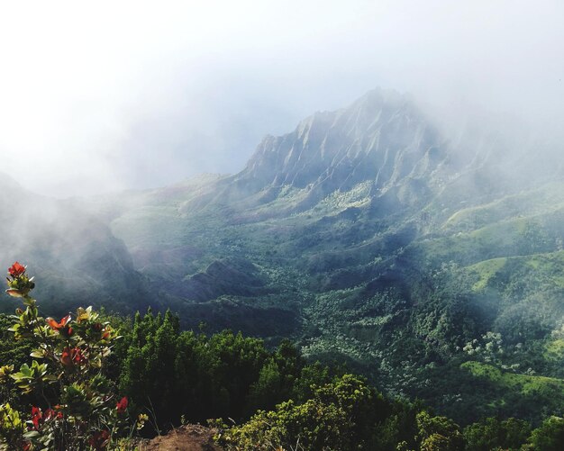 Vista panorâmica das montanhas