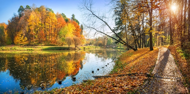 Vista panorâmica de árvores de outono coloridas e um caminho ao longo da lagoa no parque tsaritsyno em moscou