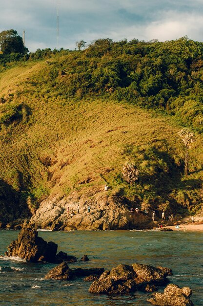 Foto vista panorâmica de árvores do mar contra o céu