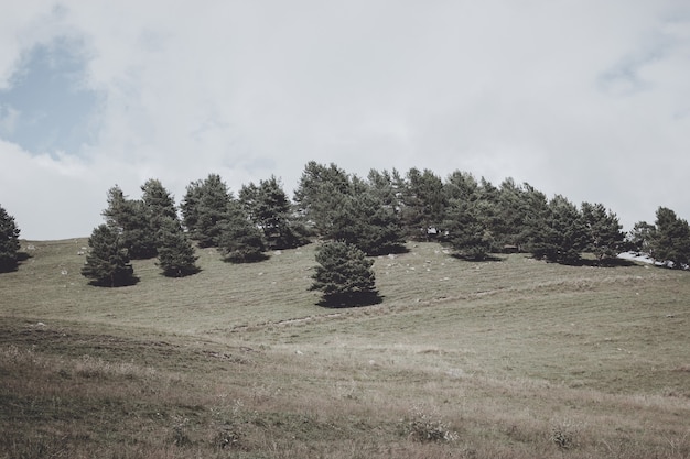 Vista panorâmica de cenas de floresta e montanhas no Parque Nacional de Dombay, Cáucaso, Rússia. Céu azul dramático e paisagem ensolarada