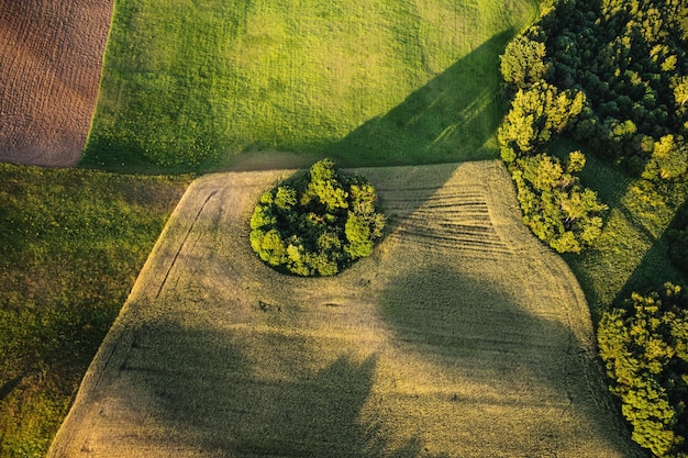 Vista panorâmica de cima de um campo agrícola