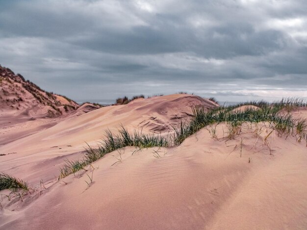 Foto vista panorâmica de dunas contra o céu