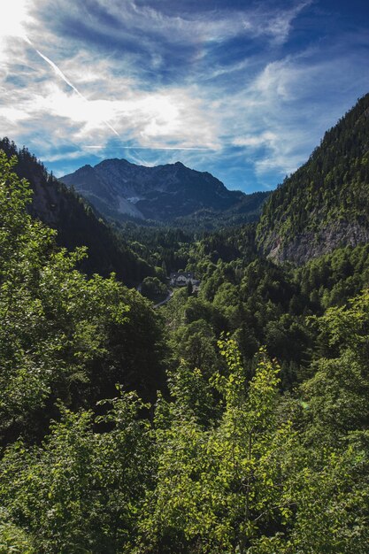 Foto vista panorâmica de floresta e montanhas contra o céu