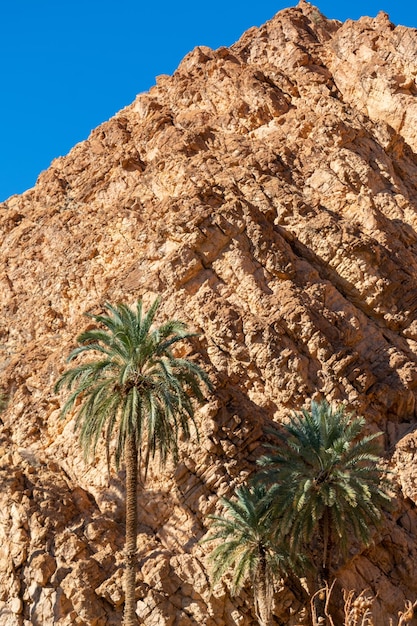 Foto vista panorâmica de m'chouneche, biskra