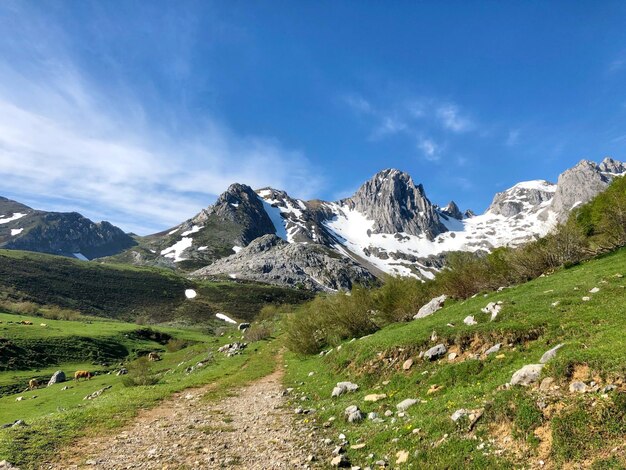 Foto vista panorâmica de montanhas cobertas de neve contra o céu