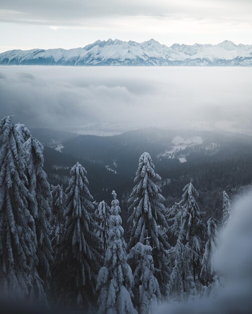 Foto vista panorâmica de montanhas cobertas de neve contra o céu