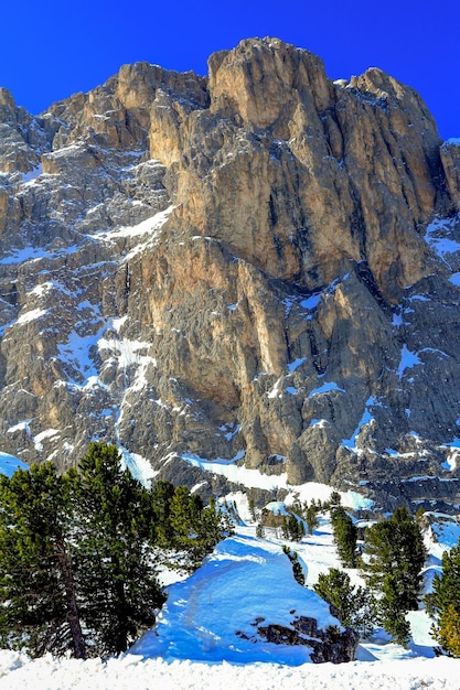 Foto vista panorâmica de montanhas cobertas de neve contra um céu azul claro