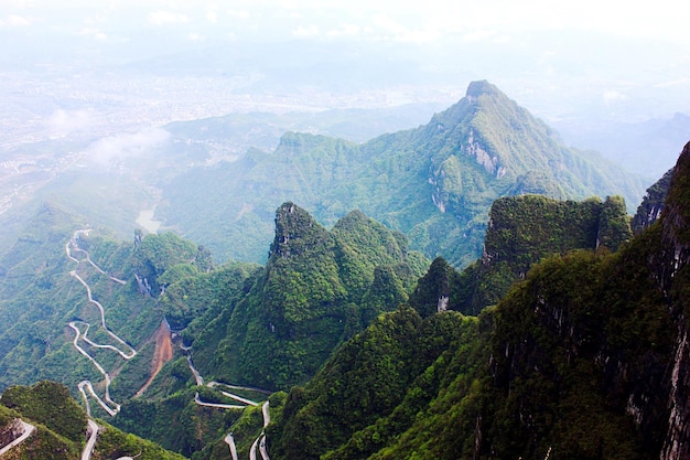 Vista panorâmica de montanhas verdes no parque florestal nacional de zhangjiajie