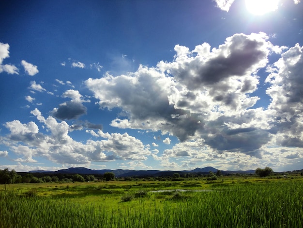 Vista panorâmica de paisagem gramada contra o céu nublado em um dia ensolarado