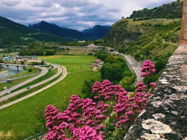 Foto vista panorâmica de paisagem verde contra o céu