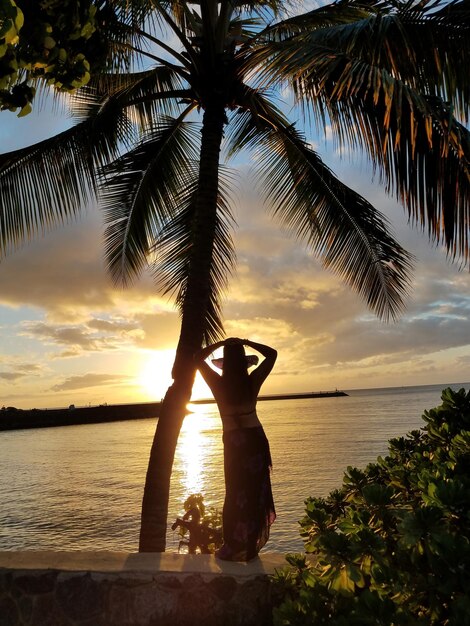 Foto vista panorâmica de palmeiras na praia durante o pôr-do-sol