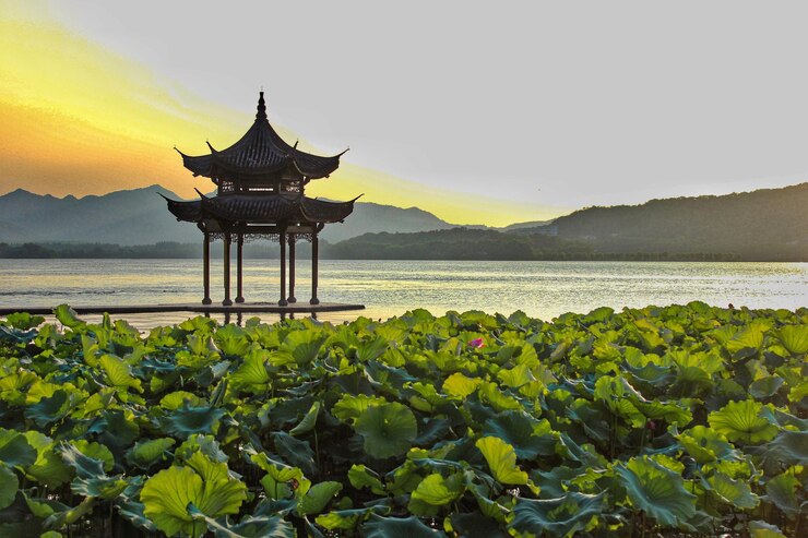 Foto vista panorâmica de pátio chinês no mar com flores de lótus contra o céu