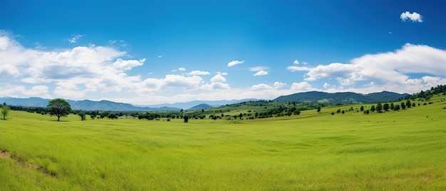 Vista panorâmica de prado verde e montanhas sob o céu azul Foto de alta qualidade