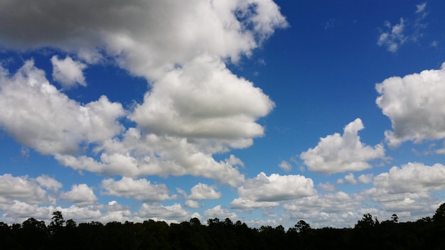 Vista panorâmica de silhuetas de árvores contra o céu