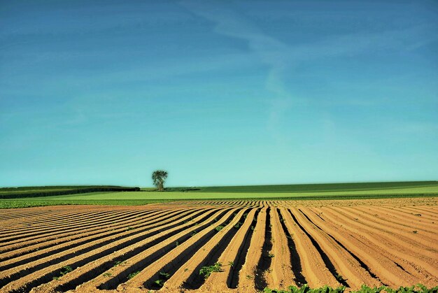 Foto vista panorâmica de terras agrícolas contra o céu