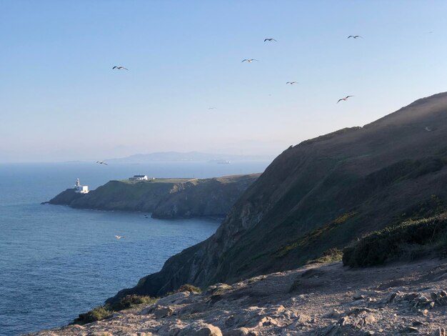 Vista panorâmica de tirar o fôlego com gaivotas de Howth cliff walk, condado de Dublin, o melhor da Irlanda