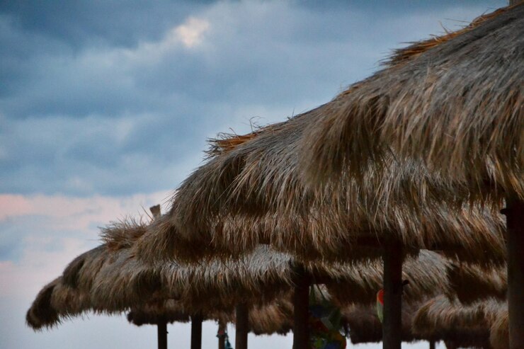 Foto vista panorâmica de um animal no telhado contra o céu
