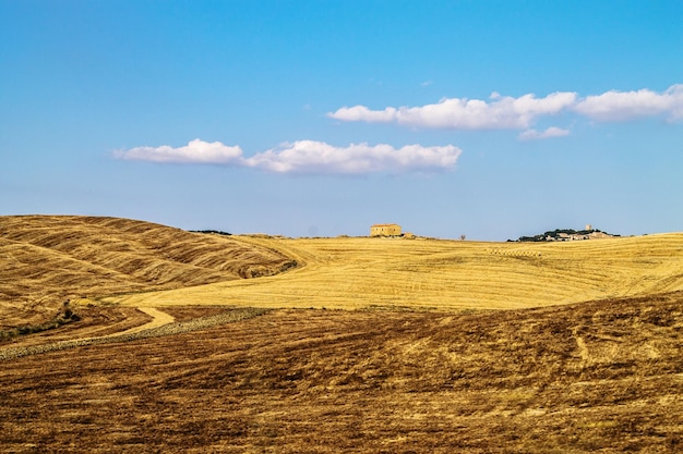 Vista panorâmica de um campo agrícola contra o céu azul