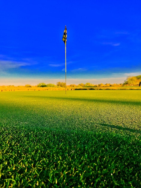 Foto vista panorâmica de um campo agrícola contra o céu azul