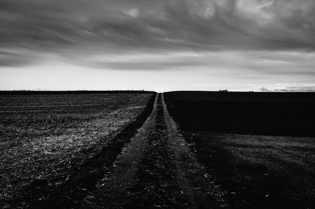 Vista panorâmica de um campo agrícola contra o céu