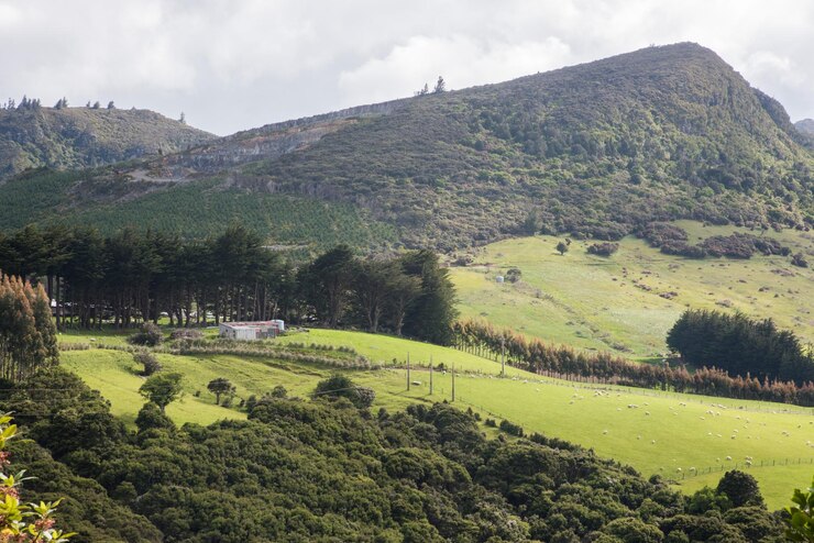 Foto vista panorâmica de um campo agrícola contra o céu